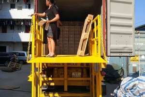 液壓升降卸貨平臺(tái)